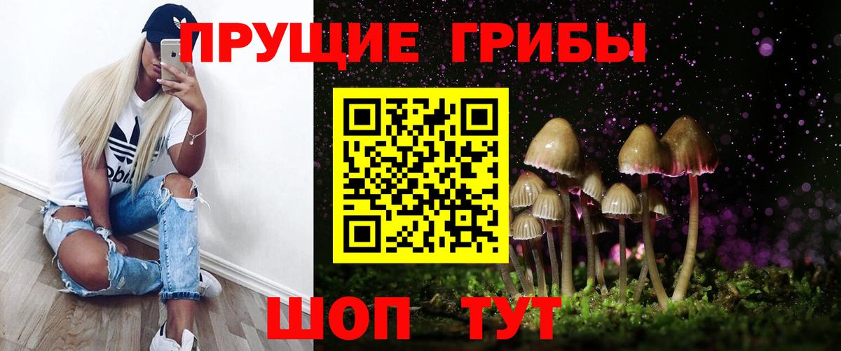 Галлюциногенные грибы прущие грибы  Псилоцибиновые грибы прущие грибы  Боровичи  Вход с VPN 